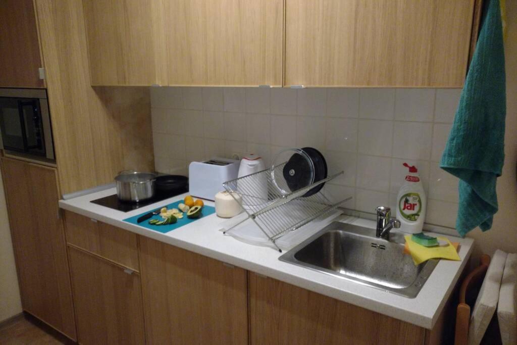 Marvelous Apartment In The Center Of Prága Kültér fotó